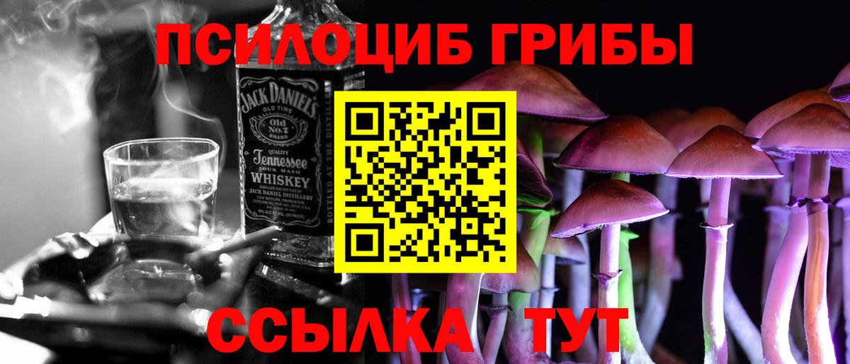 Абакан  Псилоцибиновые грибы прущие грибы  Вход с VPN  Галлюциногенные грибы GOLDEN TEACHER 