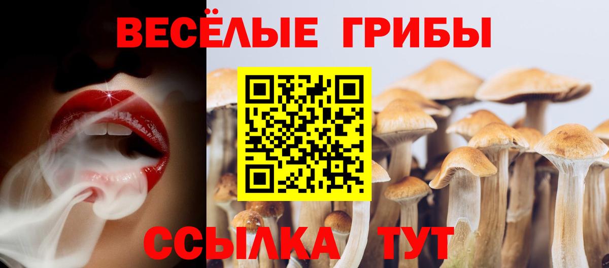 Псилоцибиновые грибы прущие грибы Абакан